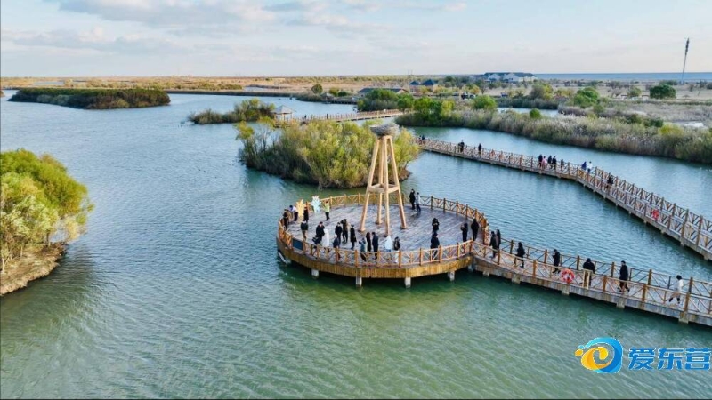 采访中明确 采访中明确