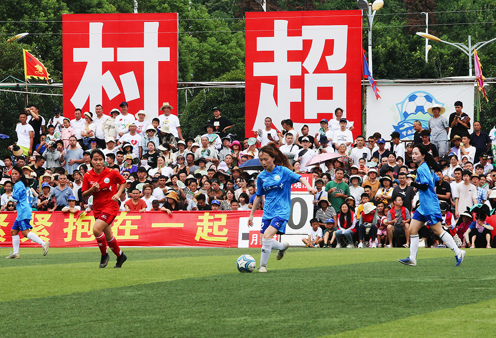 新与阵容调 新与阵容调