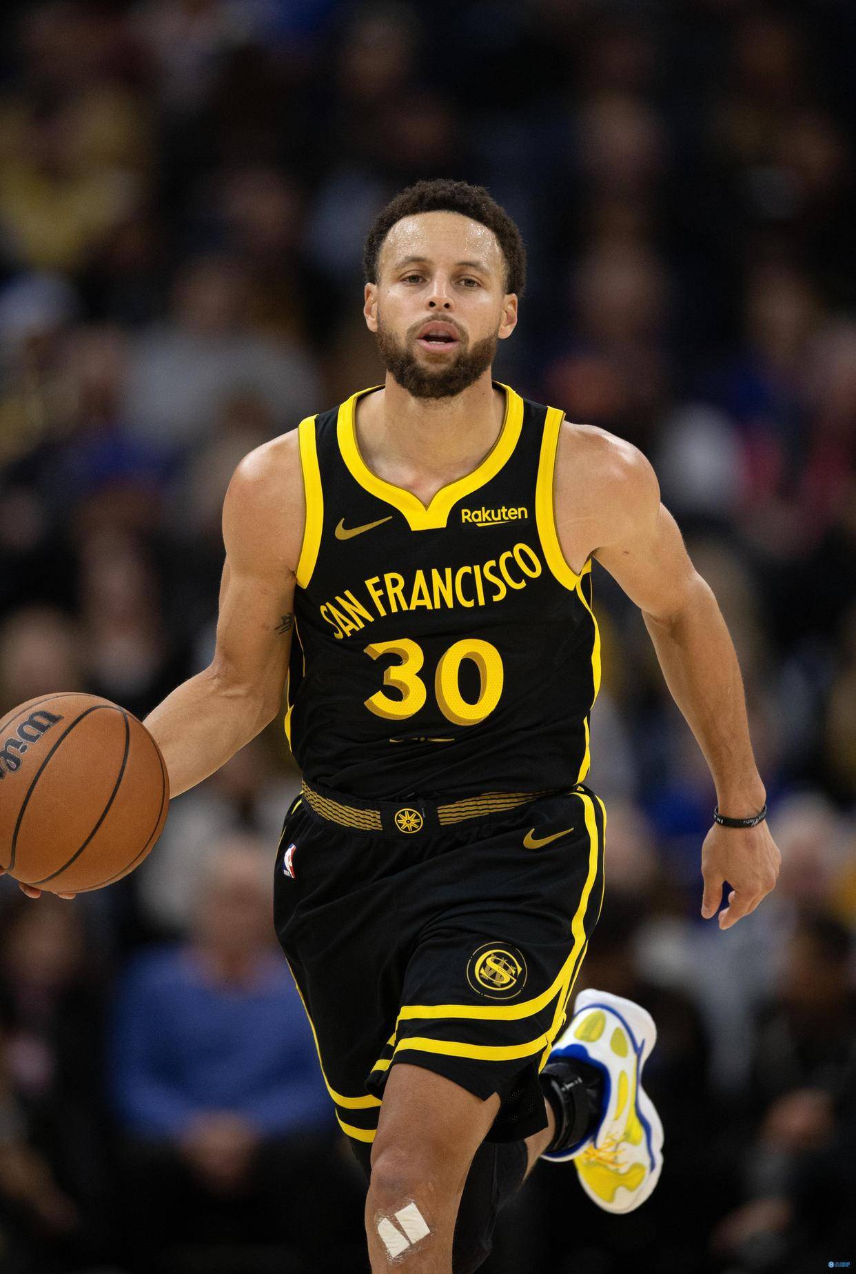 乱叫倍数 乱叫倍数