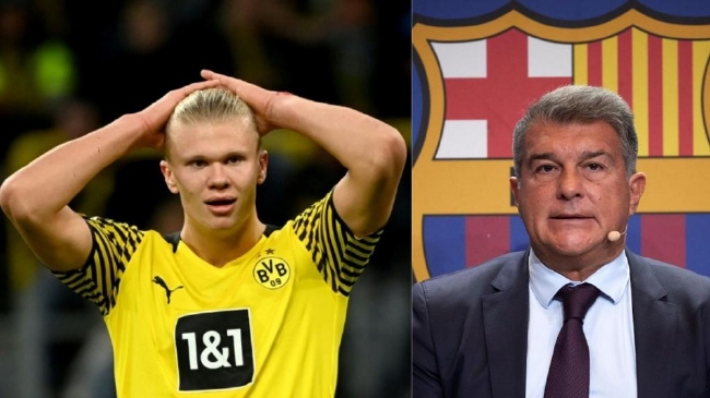 都变得紧张 都变得紧张